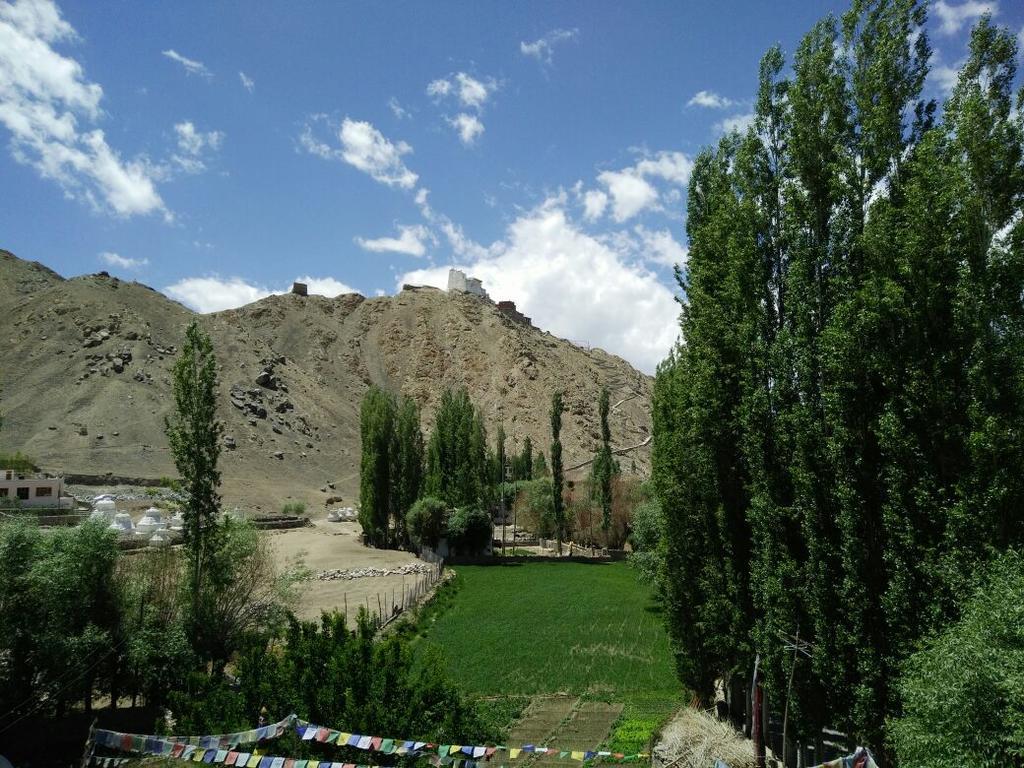 Youthok Guest House Leh Extérieur photo