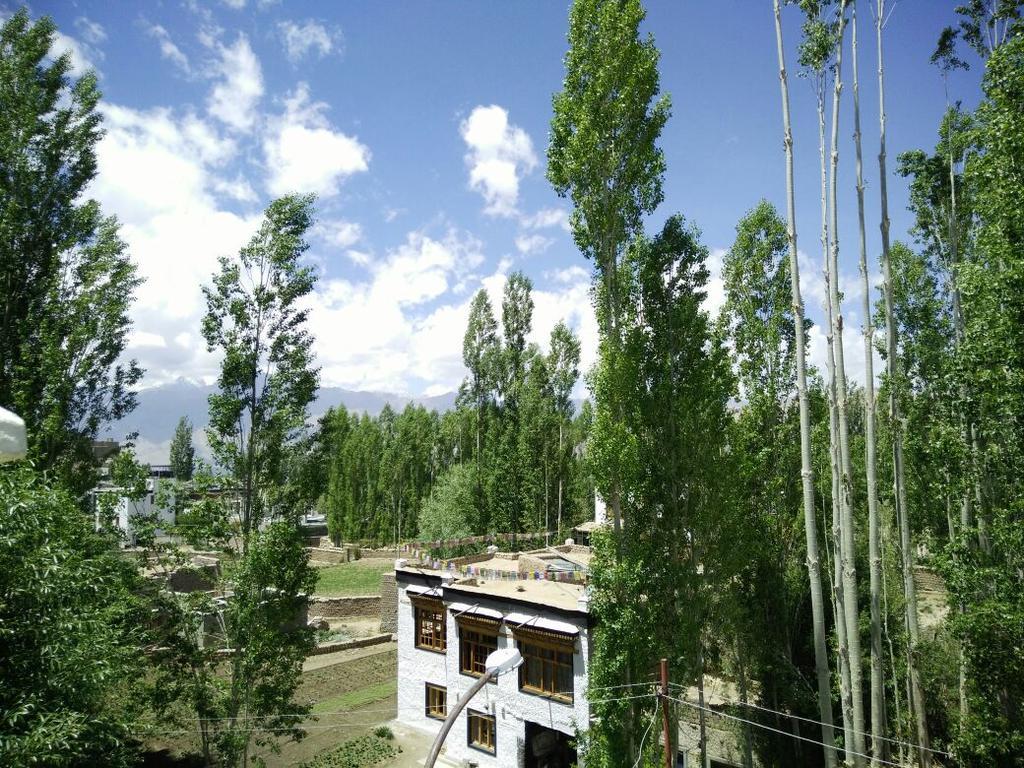 Youthok Guest House Leh Extérieur photo